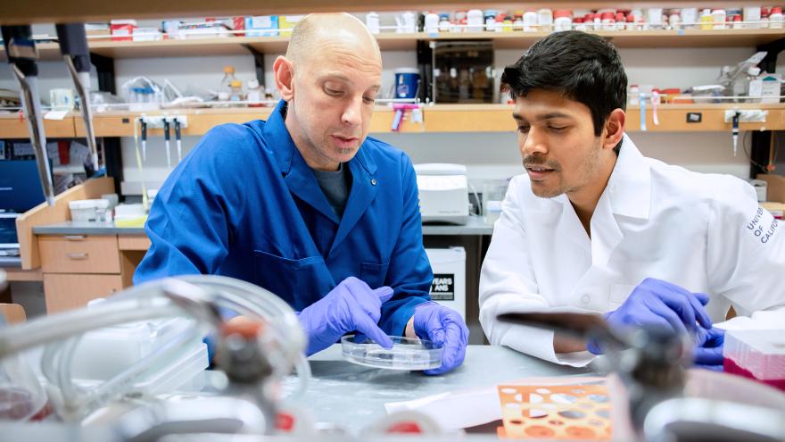 Professor works with fellow in a lab