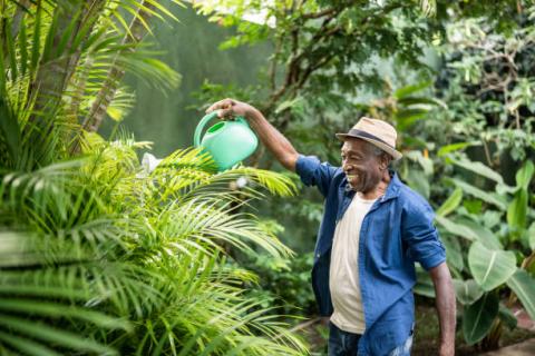 A person tends to their garden by watering a plant